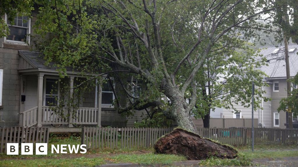 Storm Dorian makes landfall in Canada