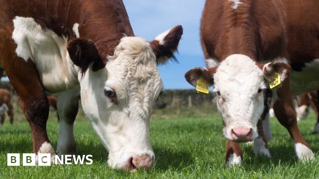 China bans British beef again over mad cow disease