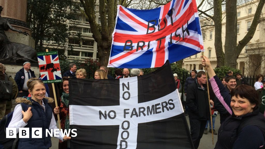 'Struggling' farmers join rally in London BBC News