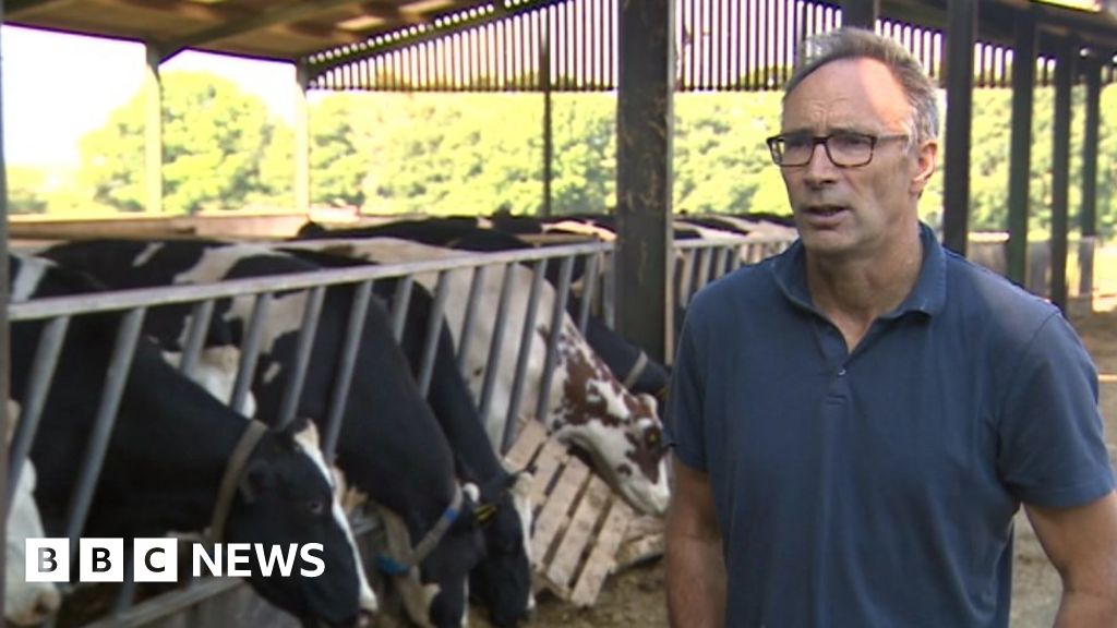 HGV driver shortage Stafford farmer told to dump milk BBC News