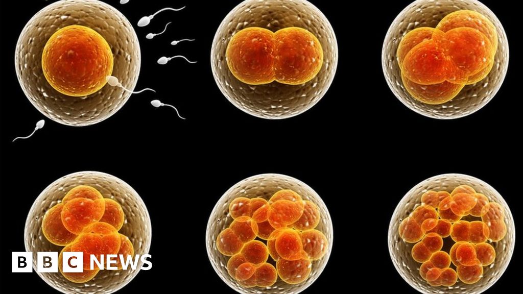 Ученые: Допускать эксперименты на эмбрионах в течение 28 дней запрещено