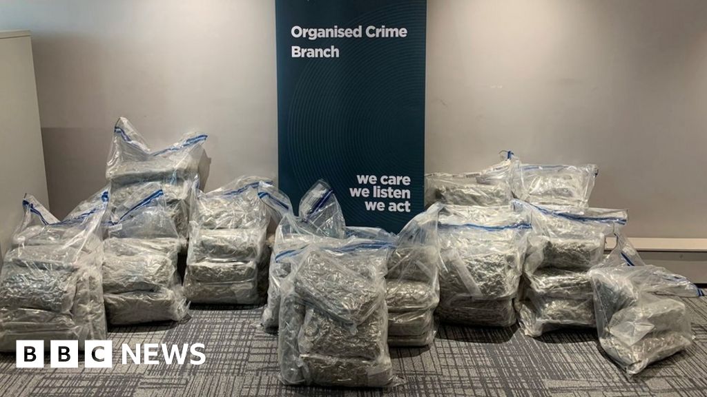 Belfast Port Man Arrested After 1 25m Cannabis Seizure