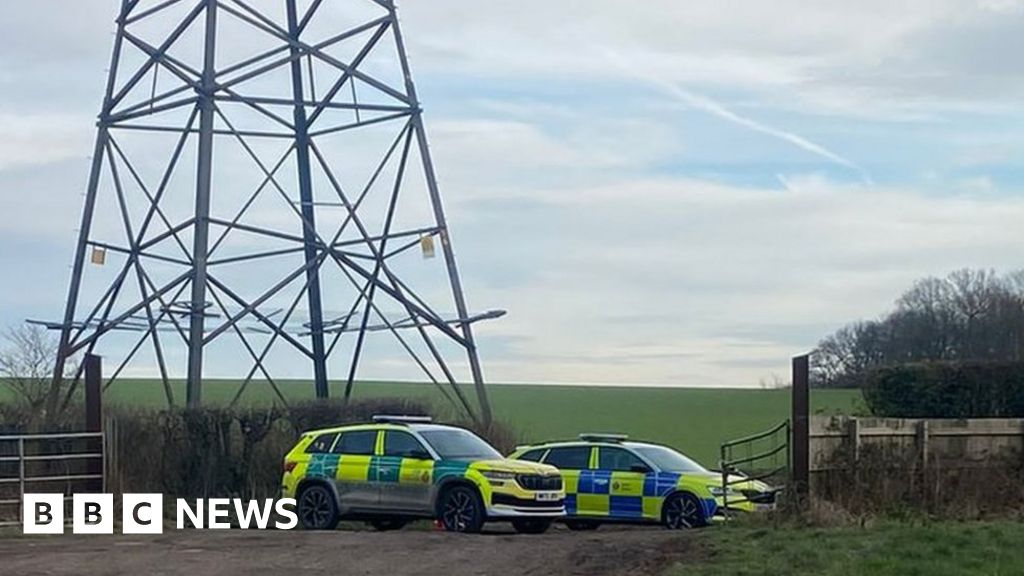 Maidstone: Man and woman walking dog killed in collision 