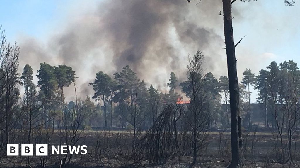 Thursley Common: Wildfire tears through 20 hectares of nature reserve ...