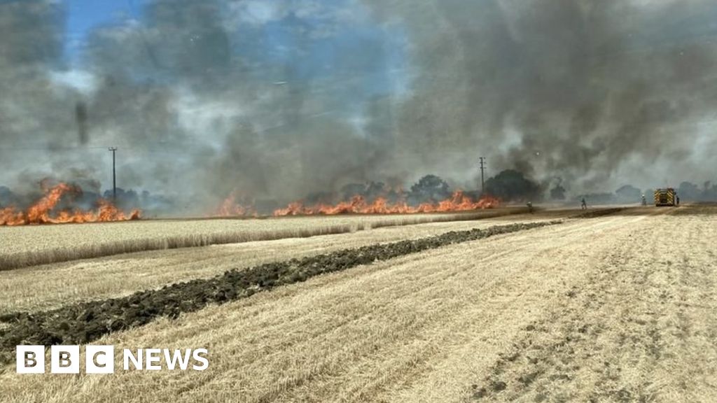 Essex Firefighters tackle 10-acre Ongar corn field blaze - BBC News