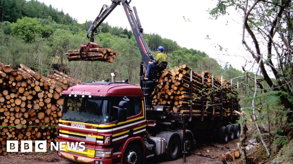 Forestry industry worth almost £1bn a year BBC News