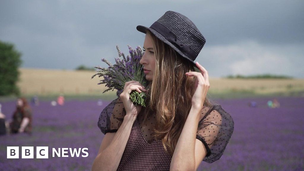 s lavender