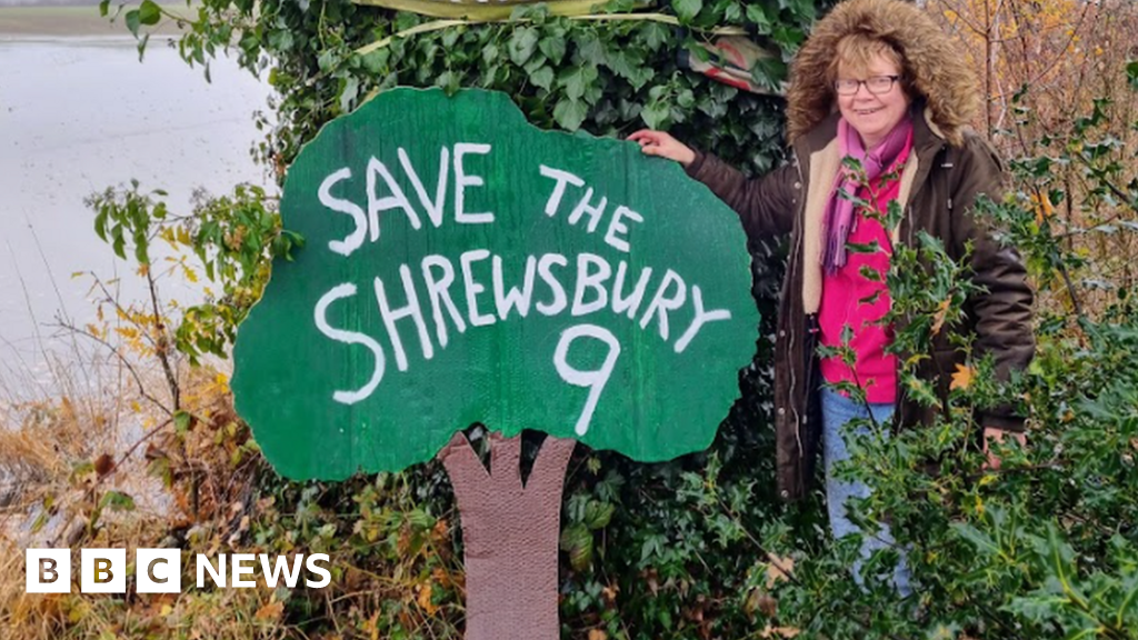 North West Relief Road Campaigners bid to save veteran trees BBC News