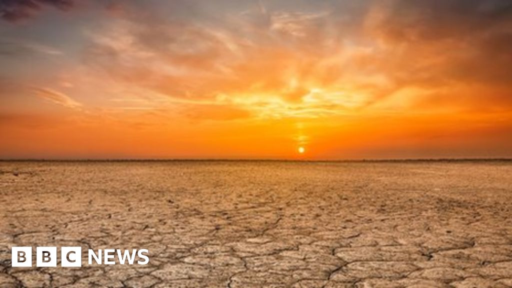 Climate change Last four years are 'world's hottest' BBC News