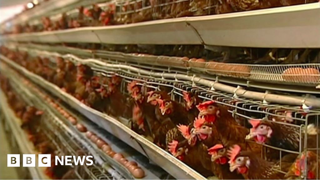 The US China Trade Spat Over Chicken Feet BBC News    89668899 89668898 