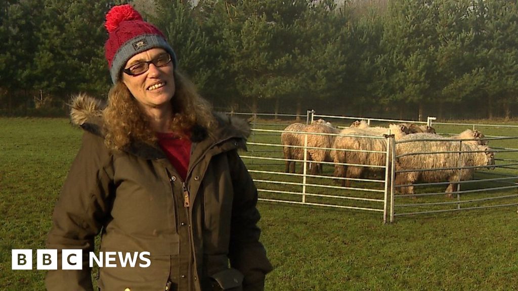 Climate change: 'Eat locally produced meat to save planet' - BBC News