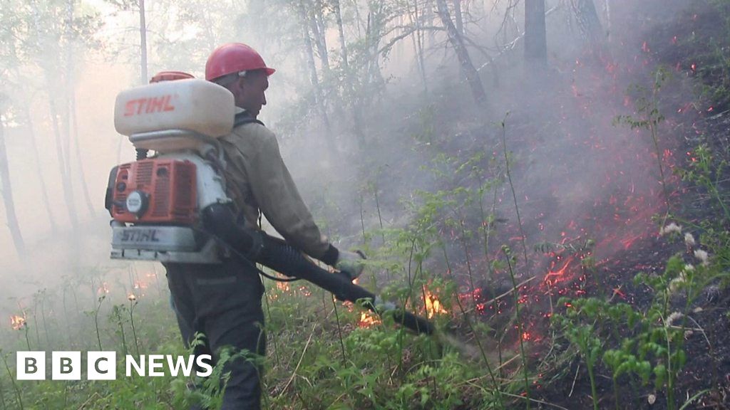 Massive Wildfires Rage On In Russia - BBC News