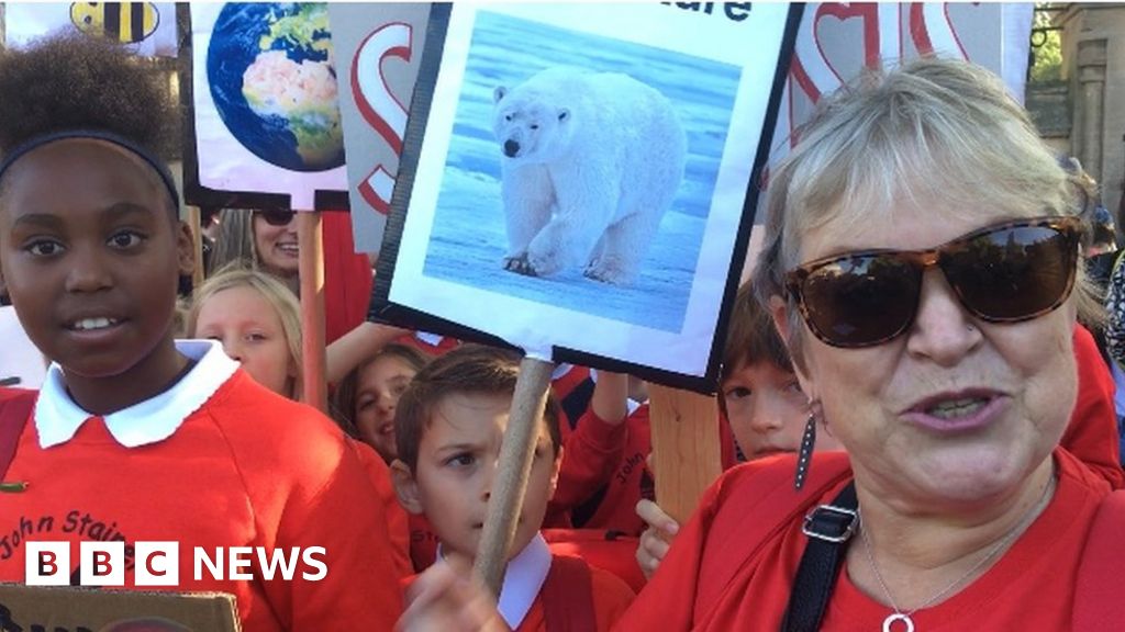 Climate protest: A different kind of class of travel