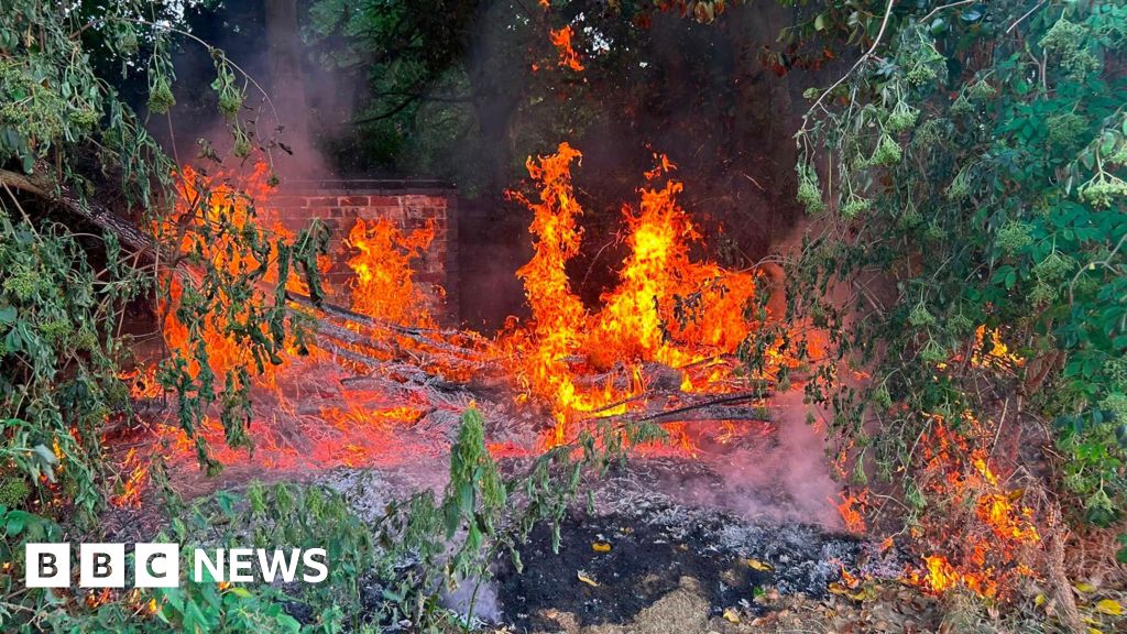 bbc.co.uk - Haider Saleem - Girl, 9, alerts cricket club to fire as voluteers condemn vandalism spree