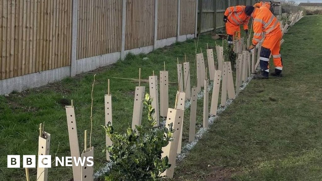 Rainworth: Project that will see 800 trees planted begins 