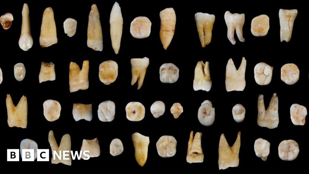 Fossil teeth place humans in Asia '20,000 years early' - BBC News