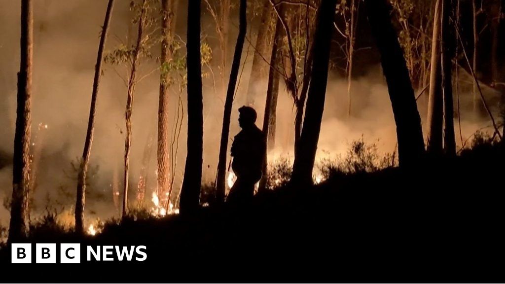 Wildfires break out across parts of Portugal