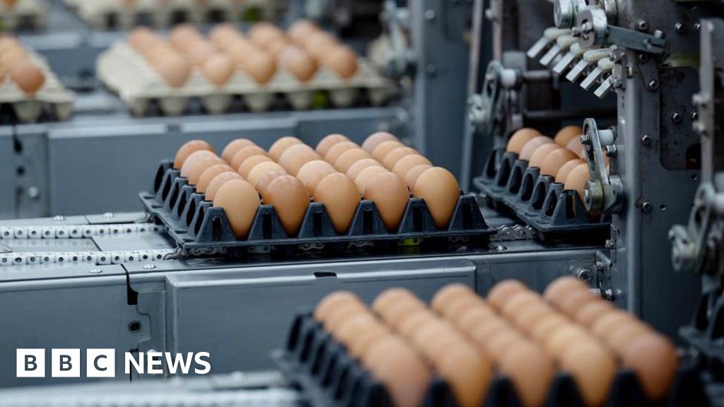 Second bird flu outbreak hits major egg producer