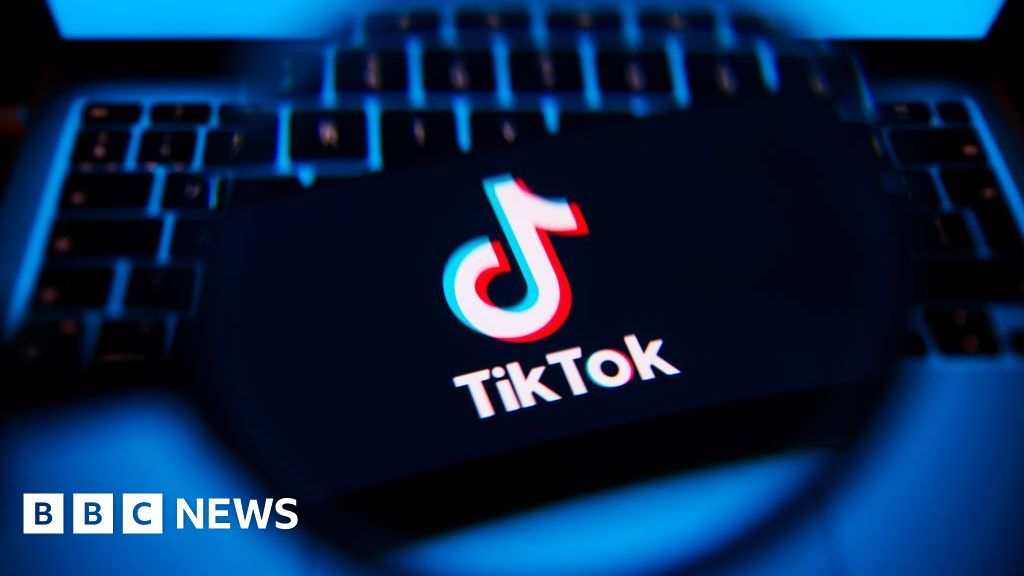 Government should counter misinformation on TikTok - MPs