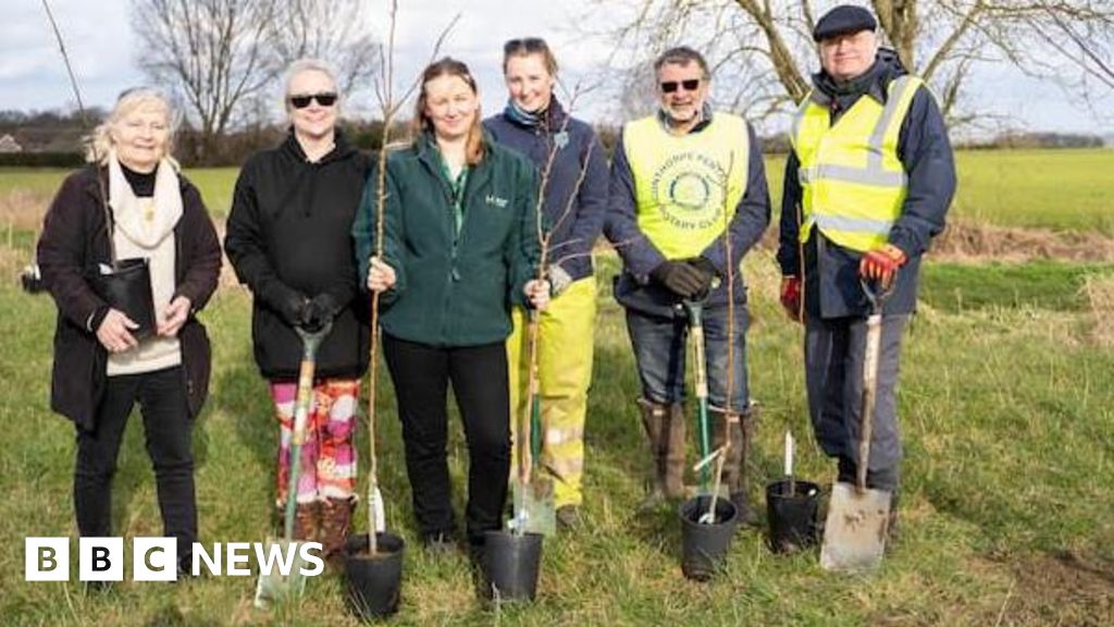 Hundreds of trees planted as part of Winterton community scheme 