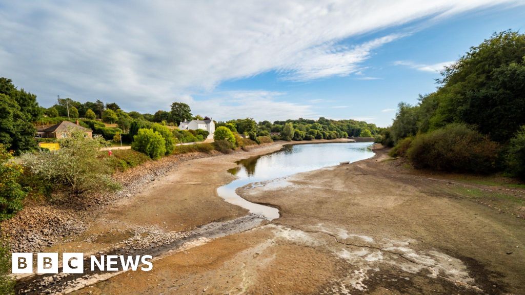 Jersey reservoir levels increase by 10 since hosepipe ban BBC News