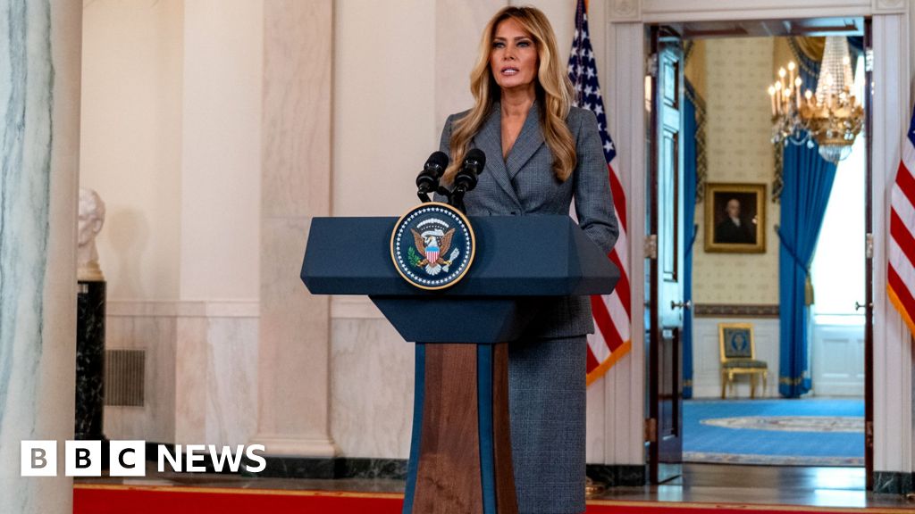 Melania Trump: 'I never had a relationship with Epstein'