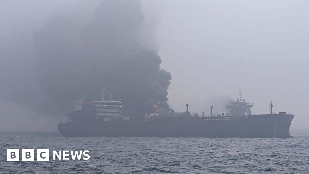 How bad could the ship collision be for the environment?