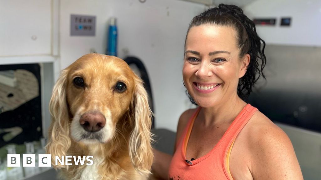 TikTok groomer's mission to educate dog owners