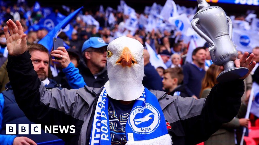 Brighton & Hove Albion in line for Freedom of the City