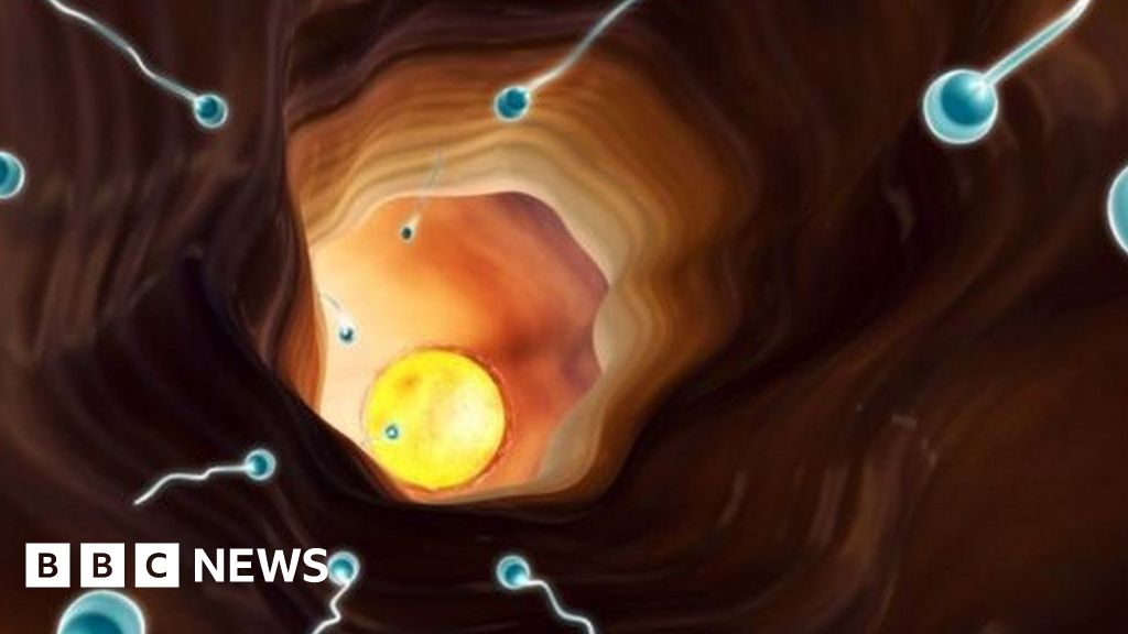 Sperm Count Drop Could Make Humans Extinct