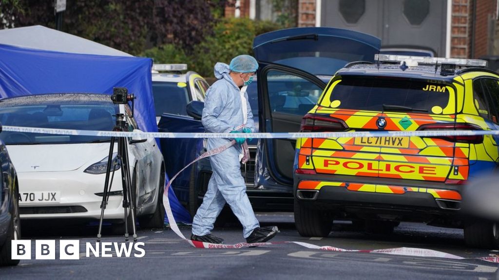 Streatham Hill: Man shot dead by police after pursuit