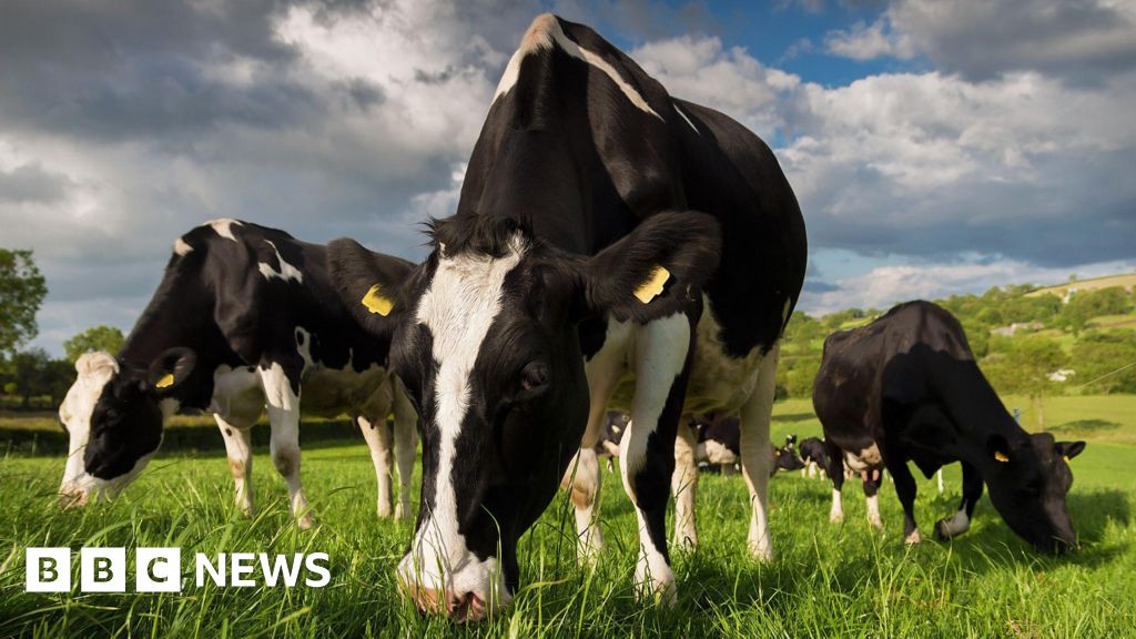 Farm incomes in NI increased by almost two-thirds