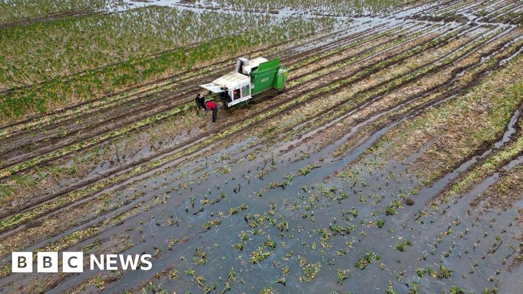 Food security threatened by extreme flooding, farmers warn - BBC News