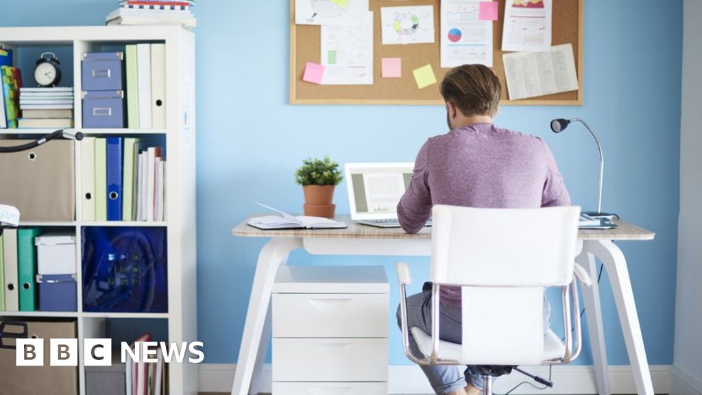 Sensée to create 300 jobs in Northern Ireland BBC News