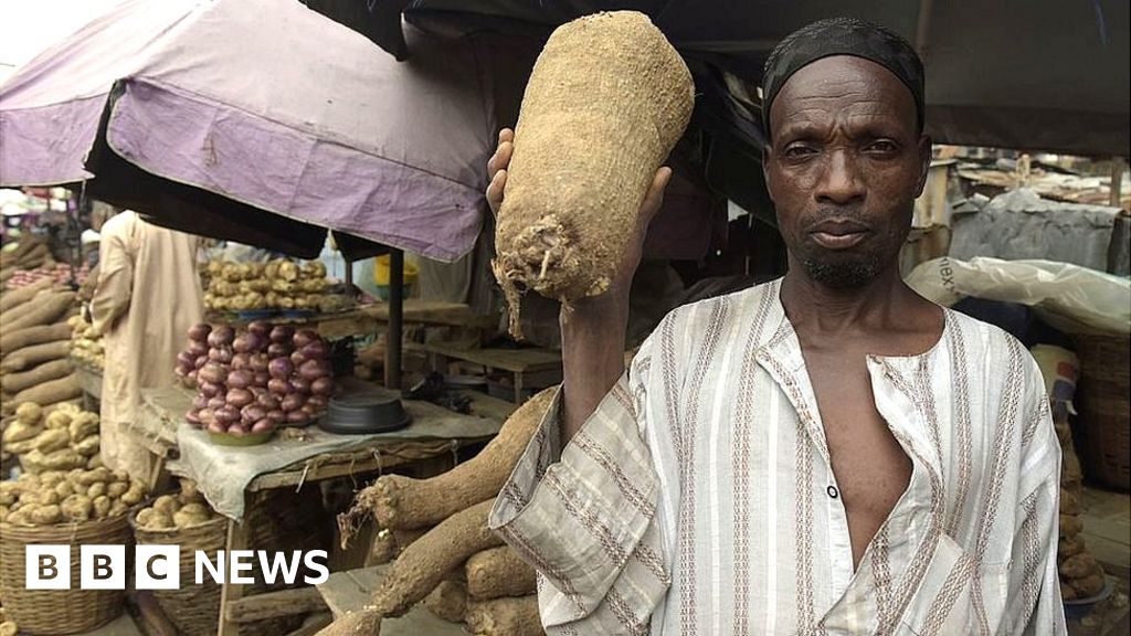 Can Nigeria's yams power a nation? BBC News