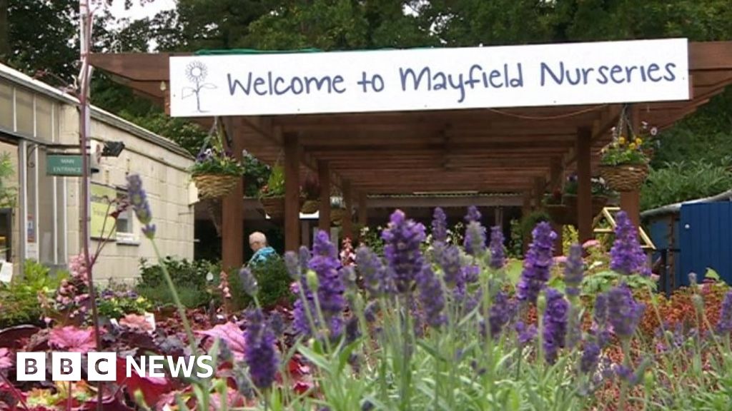 Mayfield Nurseries mental health charity in Southampton hit by break ins