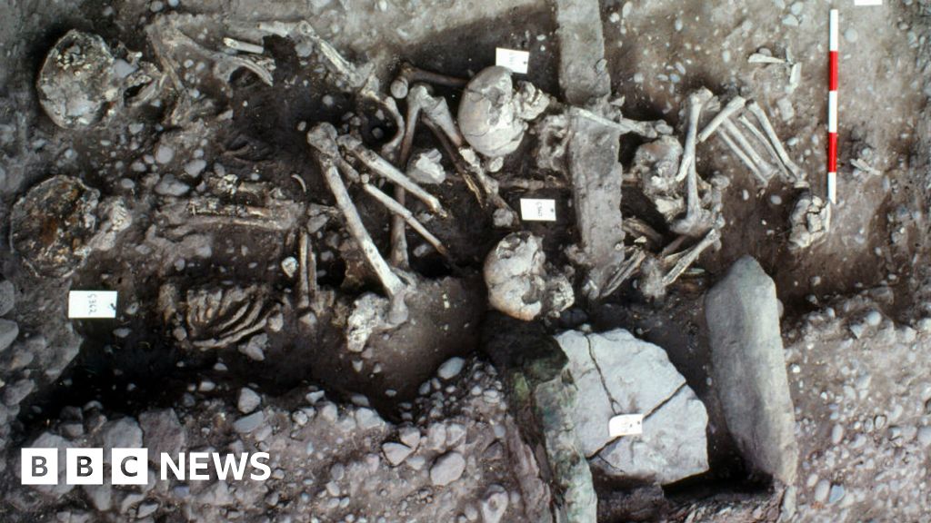 Bones clue to 'lost' Viking army which made England