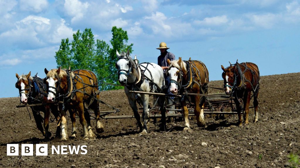 Can This Political Group Get The Amish To Vote For Trump BBC News    90432960 Gettyimages 169856541 