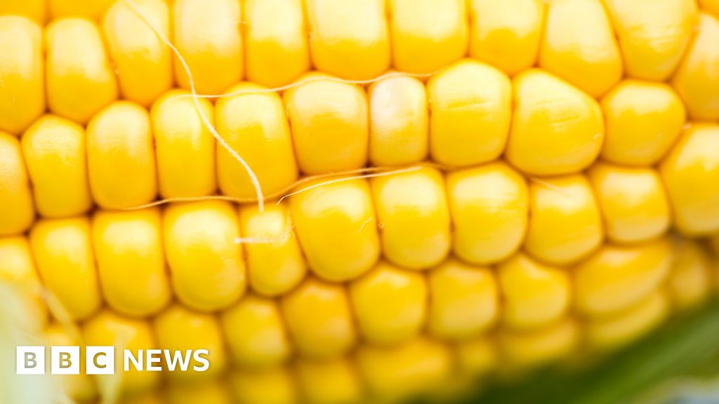 Spilled corn causes Dumfries traffic troubles BBC News