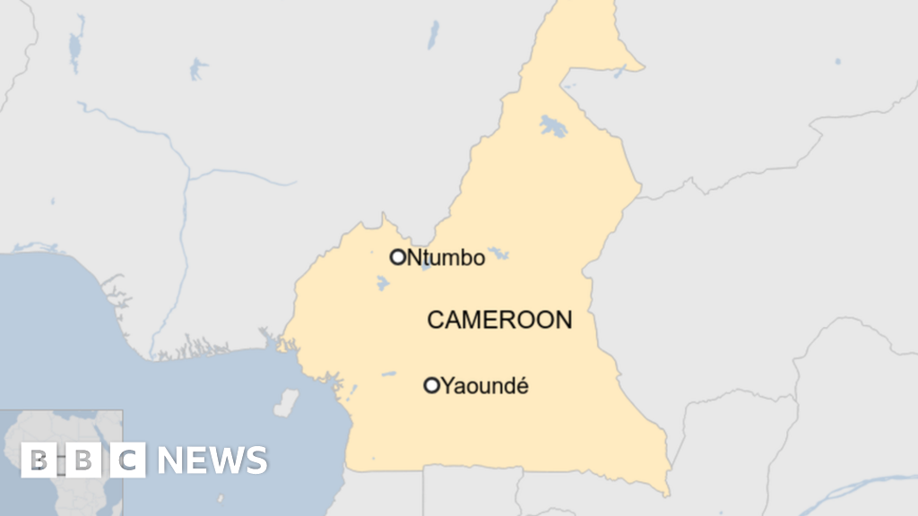 Находится вулкан камерун. Вулканический массив Камерун на карте Африки. Вулкан Камерун на карте. Вулкан Камерун на карте Африки. Где находится вулкан Камерун на карте.