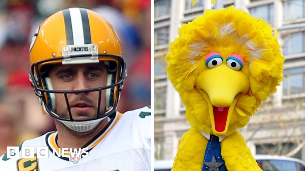 Aaron Rodgers and Big Bird: The unlikely faces of America's Covid culture  war - BBC News