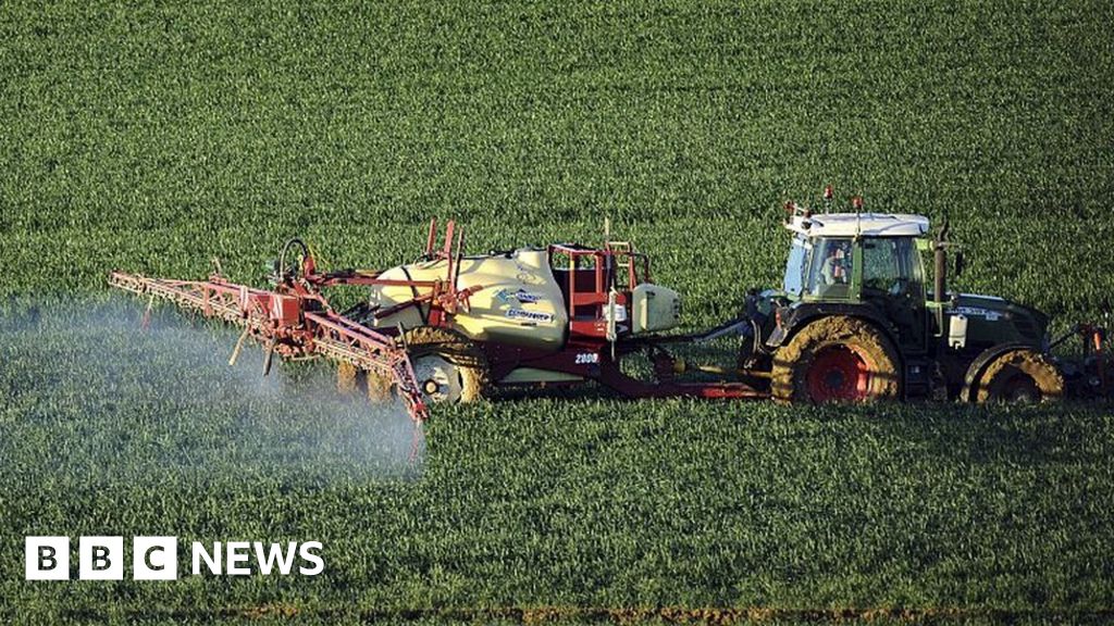 How fertiliser helped feed the world