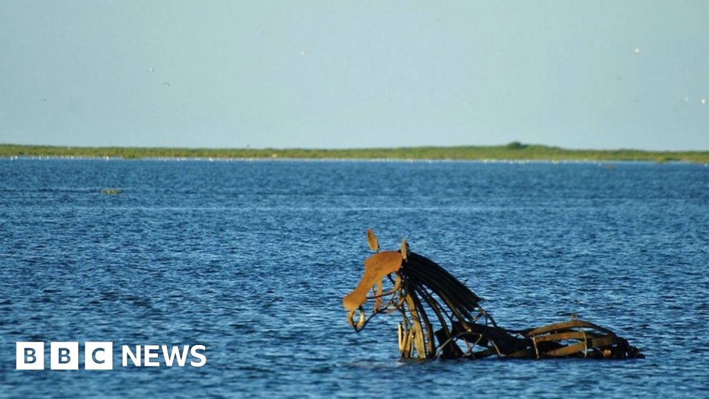 wells next the sea campaigners to buy horse sculpture bbc news