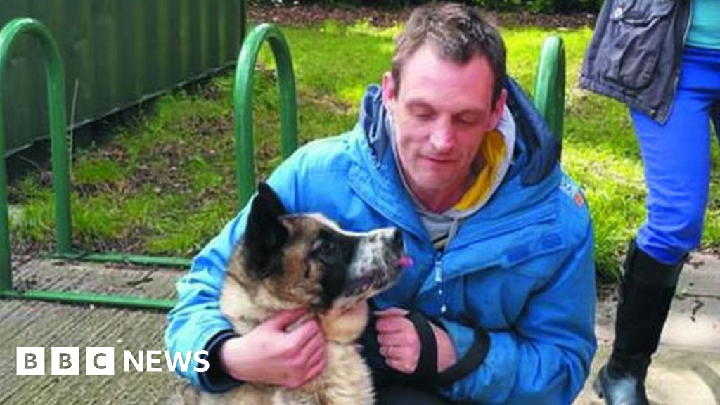 Stolen dog found in Coventry back home after nearly two years - BBC News