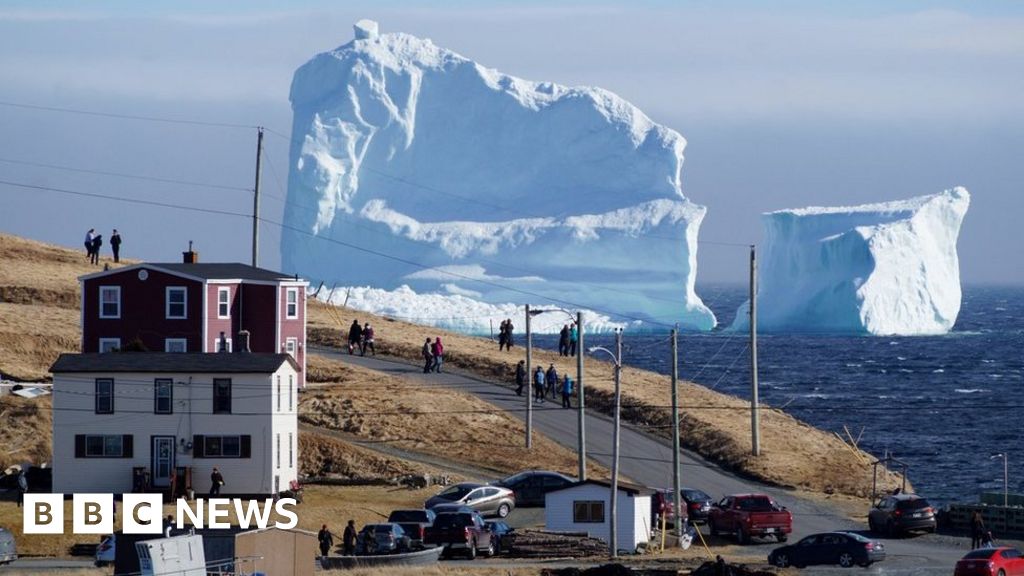 Tourists Trapped on Canadian Ice Floe Back on Land - ABC News