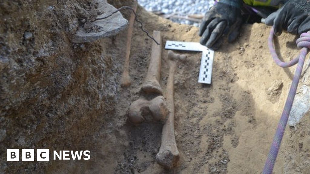 Coastal erosion reveals 'shipwreck' skeletons on Glamorgan Heritage Coast