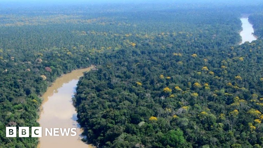 A study that dug into the history of the Amazon Rainforest has found that indigenous people lived there for millennia with "causing no detectable