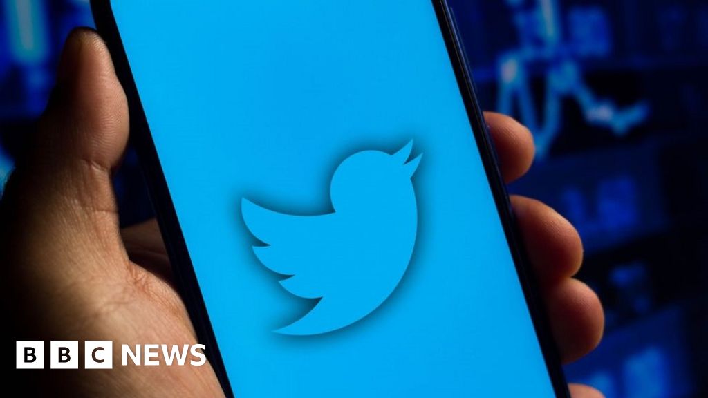 How Nigeria succeeded in clipping Twitter's wings