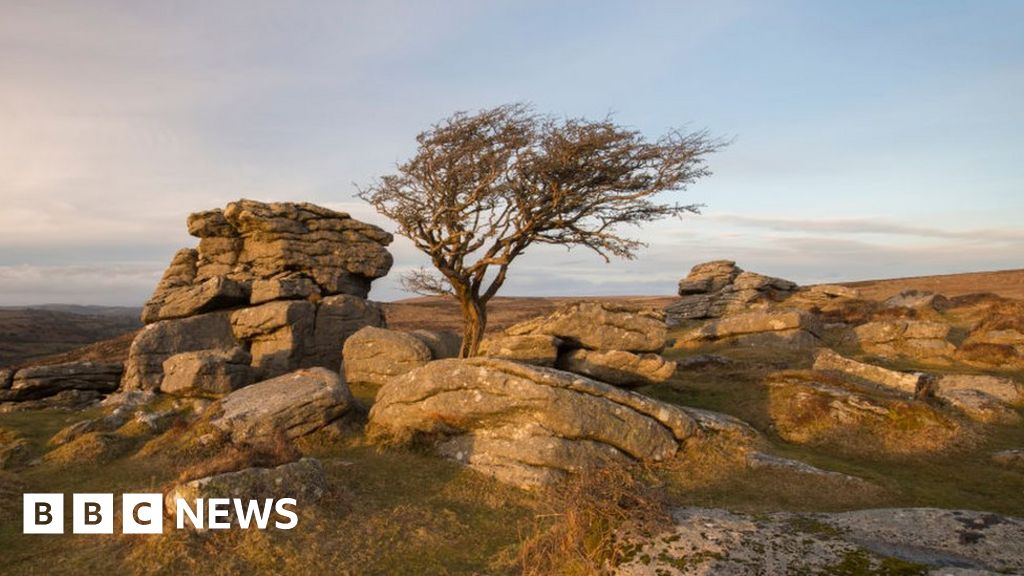 England to get new national park as part of nature plan