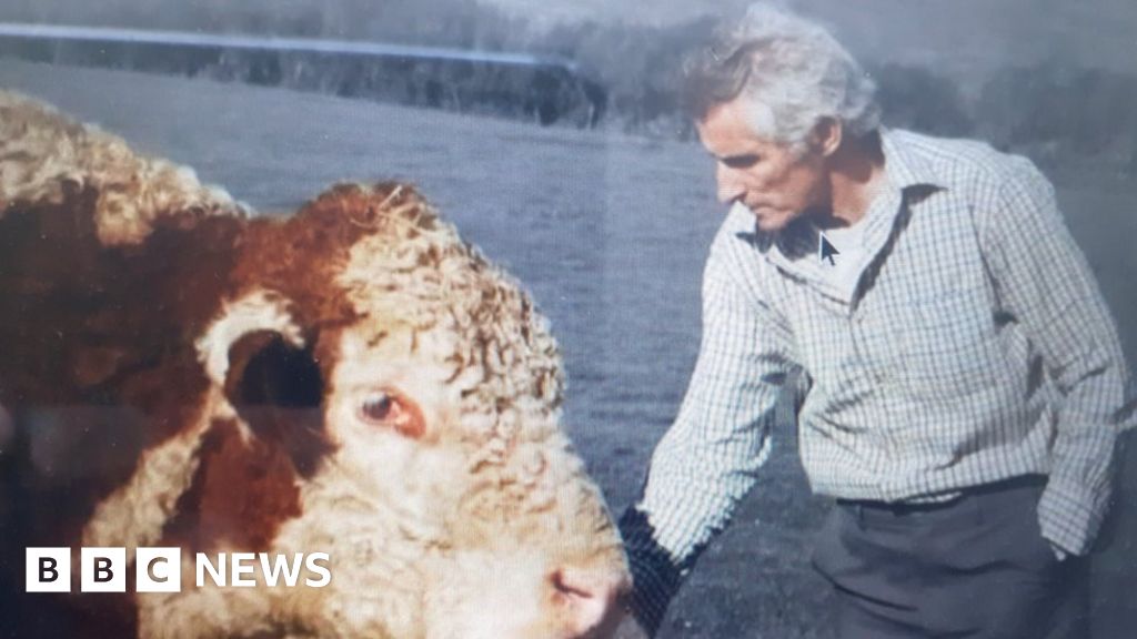 Cornwall livestock farmer crushed to death by bull calves 